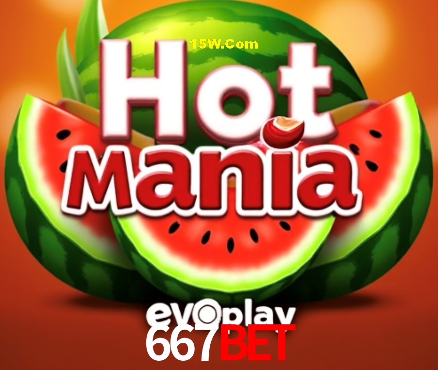 Programa VIP 667Bet